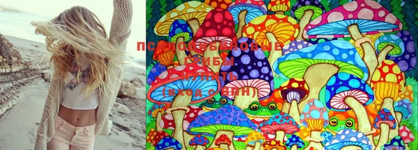 меф Киреевск