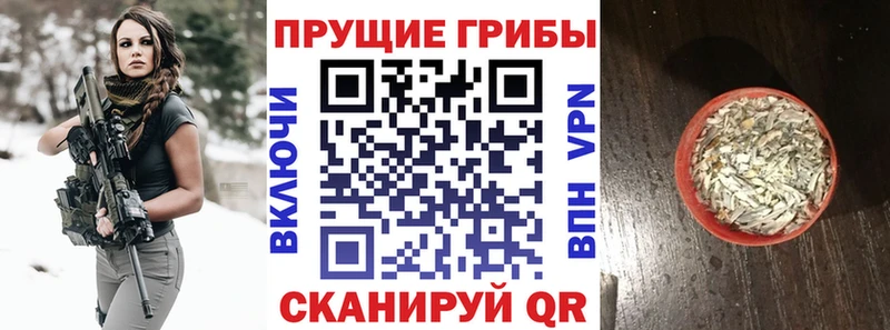 Купить  Рыбное  Галлюциногенные грибы мухоморы 